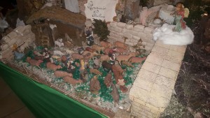belen7